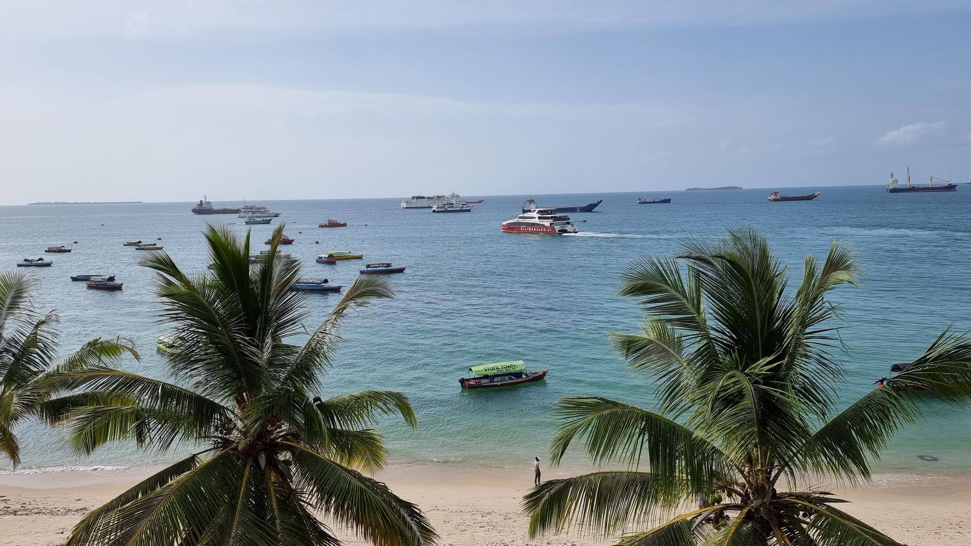 Renergy Expedition in Tanzania and Zanzibar